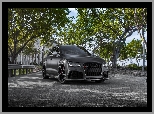 Audi RS7