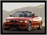 E46, BMW Seria M, BMW 3