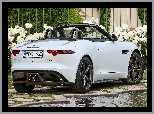 Jaguar F-Type 400, Cabrio