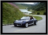 Ulica, Smart Roadster