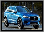 Volvo XC60, Las, Niebieskie, 2017